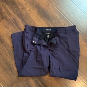 NWT Lane Bryant The Allie pants, size 24R